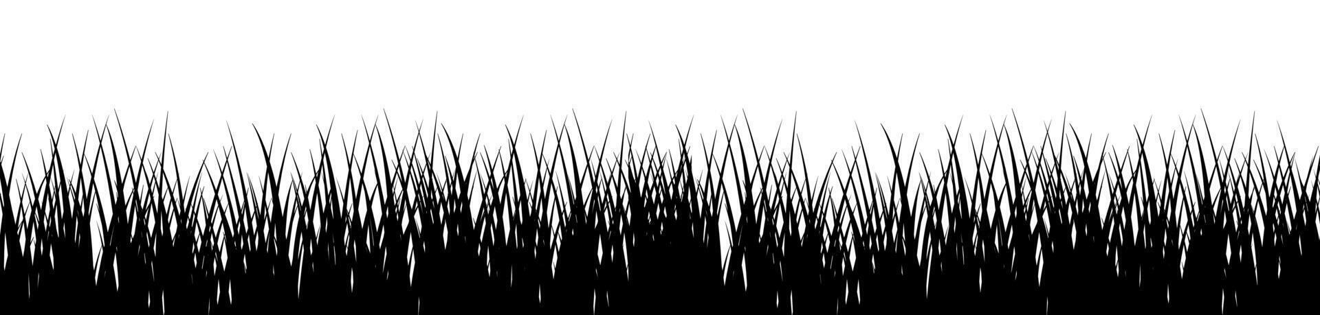 Green grass on white background vector