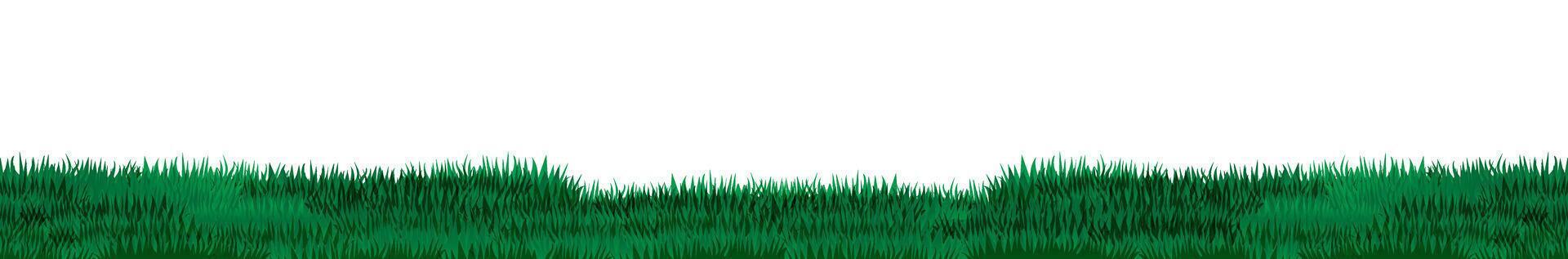 Border of green grass template vector