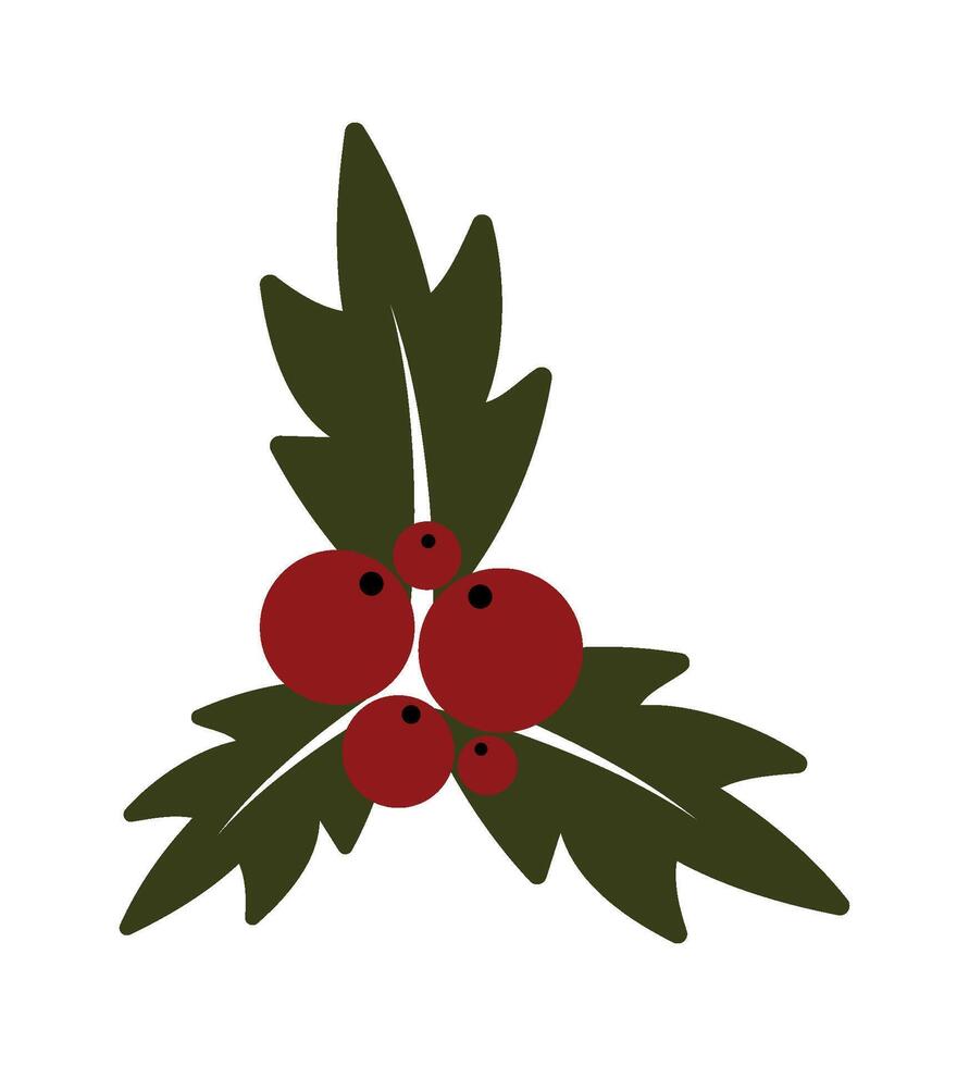 Christmas holly berry. Christmas symbol. Twig of holly with berries and leaves. New year and winter, Christmas holidays and gifts. vector