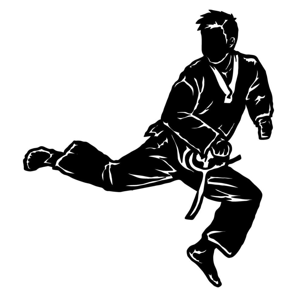 silhouette icon taekwondo karate kick vector