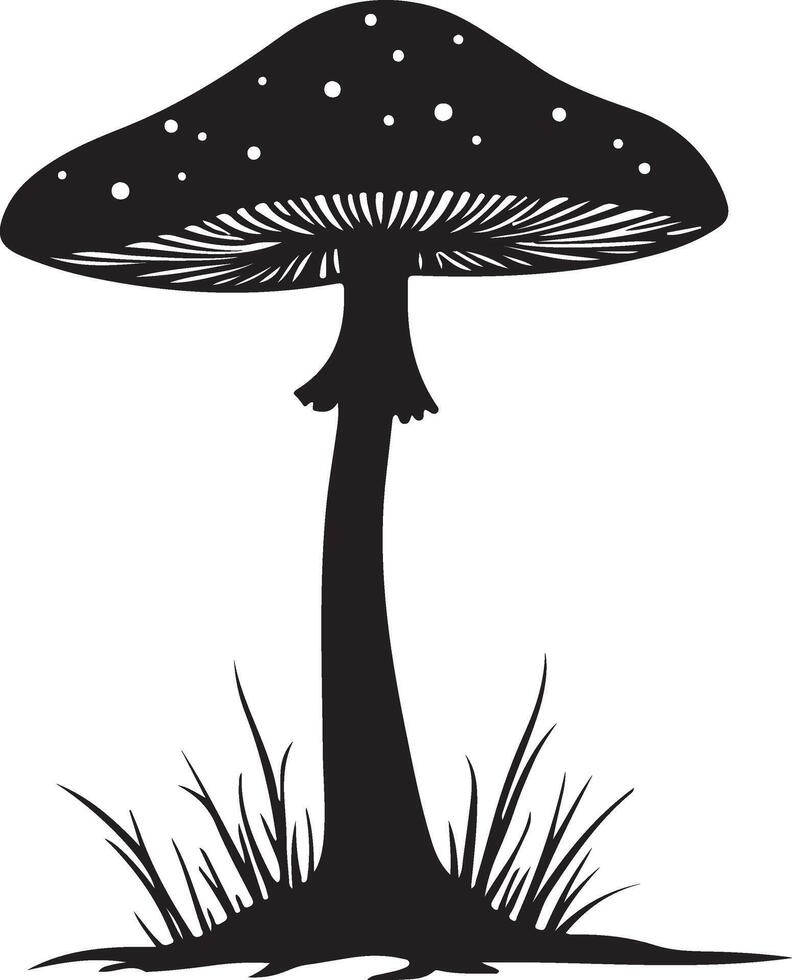 Mushroom isolated on white background vector