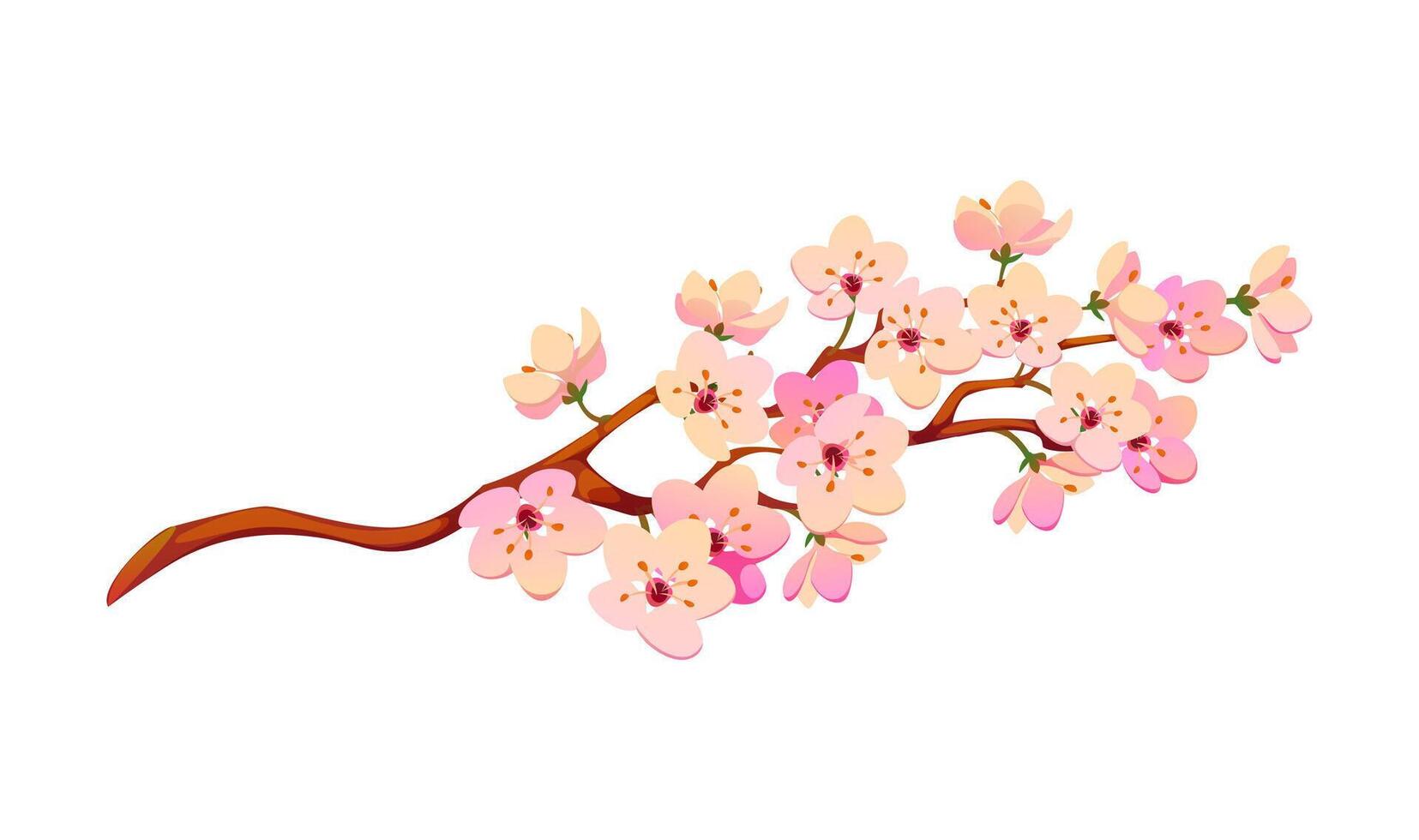 Delicate cherry sakura blossom branch with flowers vector