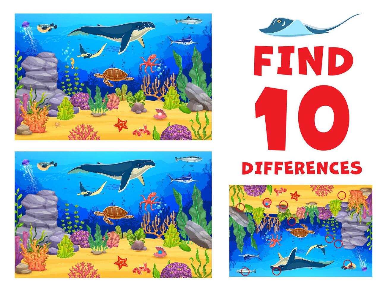 Find tend differences between sea animals riddle vector