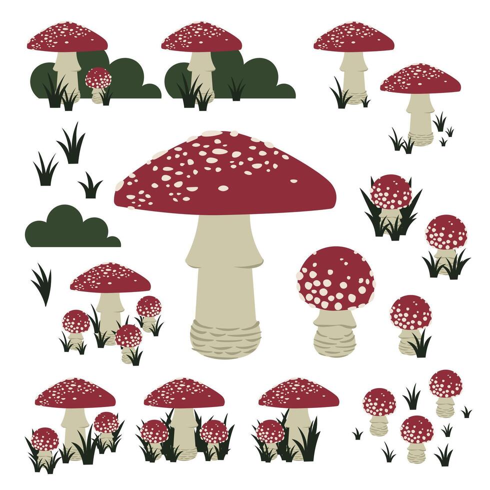 Amanita muscaria, fly agaric board set vector