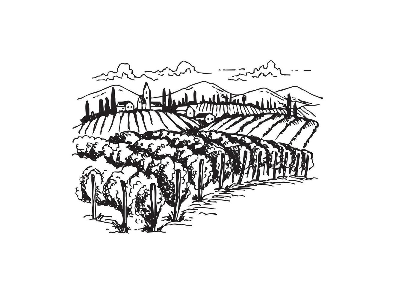 a drawing of a vineyard with a town in the background. vector