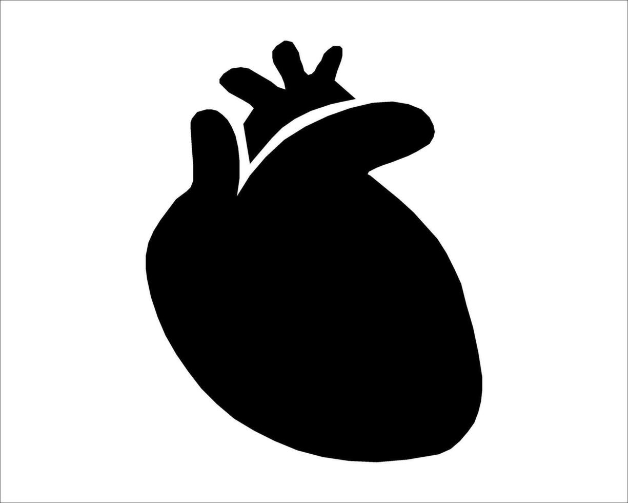 human heart icon isolated on white background vector