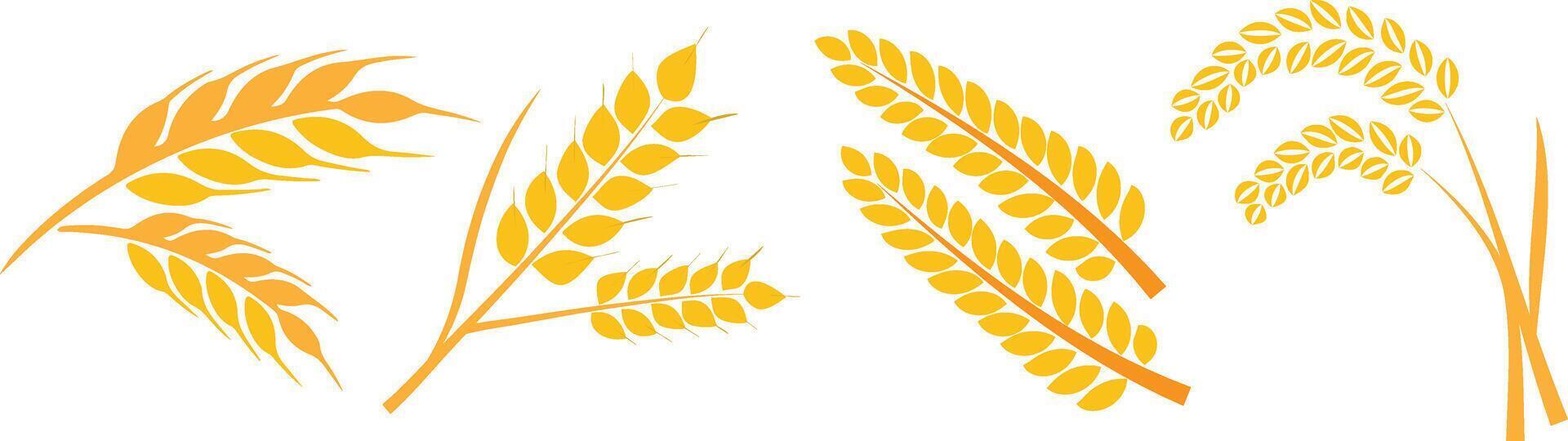 Set of wheats icons and wheat design elements. vector