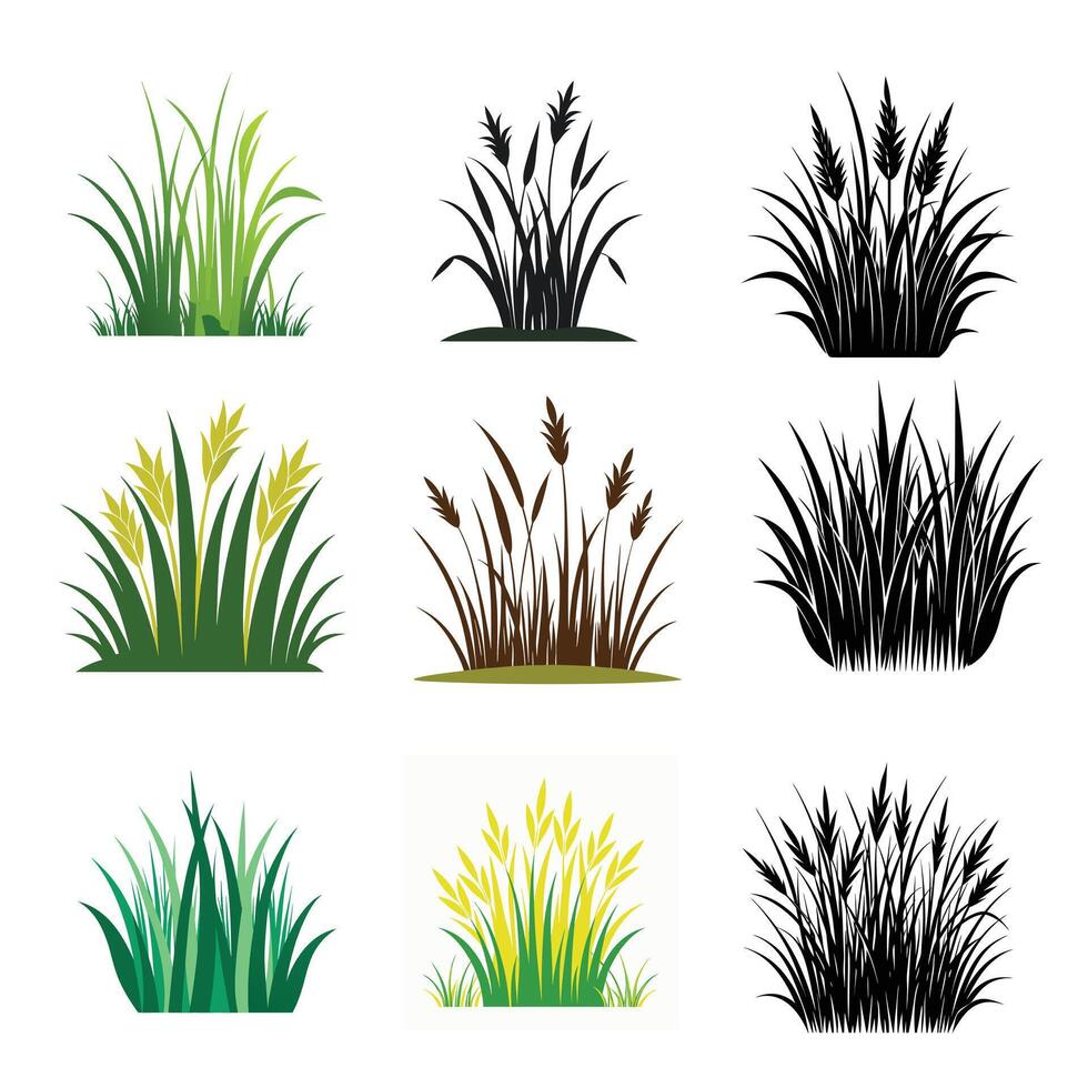 elegant grass silhouette vector