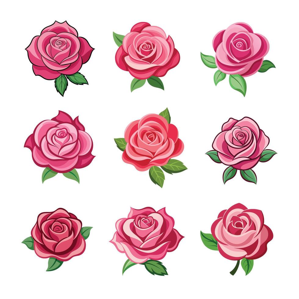 Charming Rose Pink Floral Collection vector