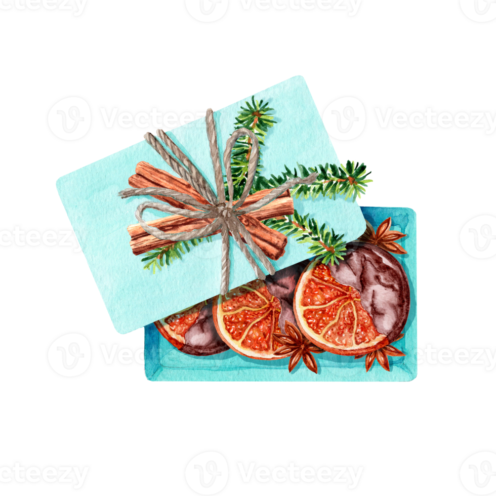 Watercolour illustration of isolated Christmas dried oranges in the box and The New Year elements on the lid png