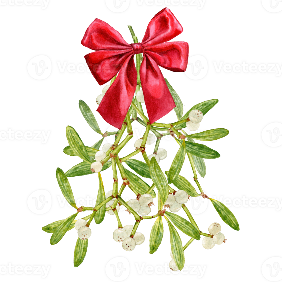 Little Mistletoe branch with red bow in Watercolor for Christmas design png