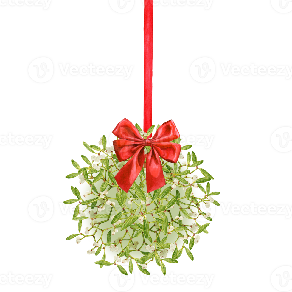 Hand drawn watercolor Mistletoe ball with red bow png