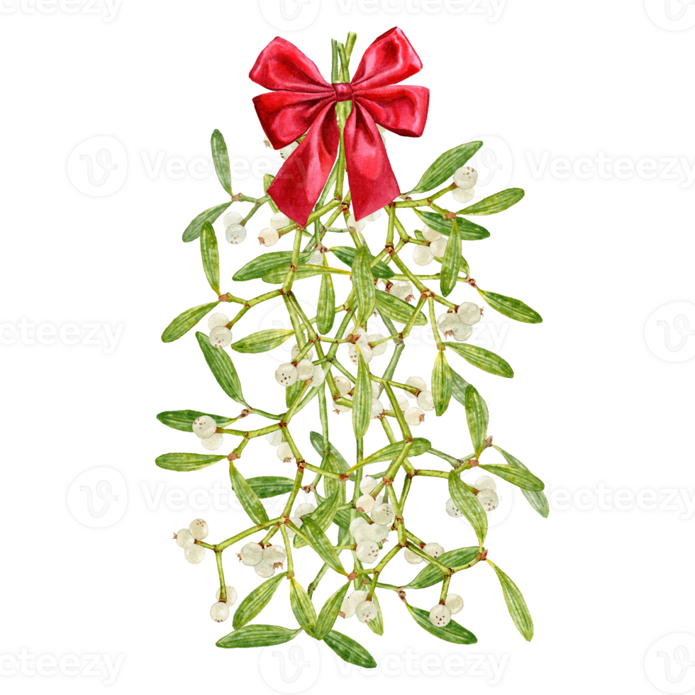 Watercolor Mistletoe branch with red bow png