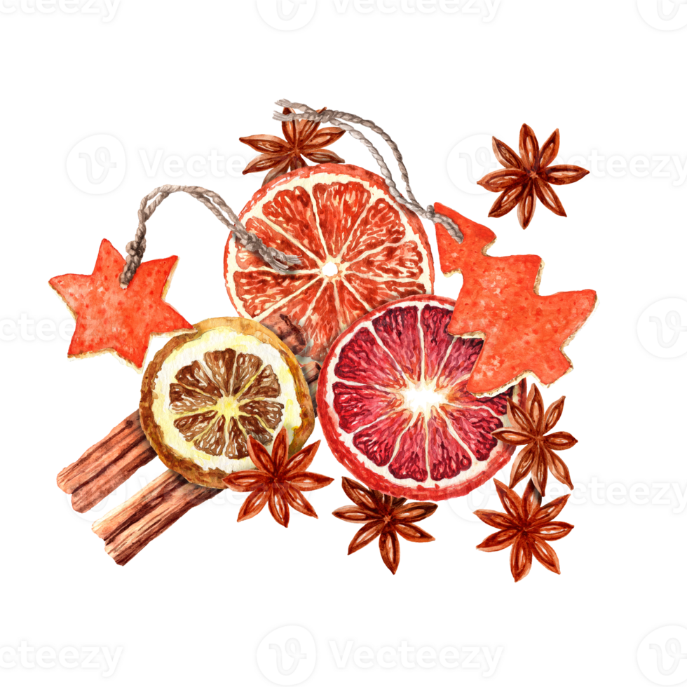 Watercolor illustration of isolated Christmas dried oranges and lemon, Cinnamon and Badian isolated on the white background png