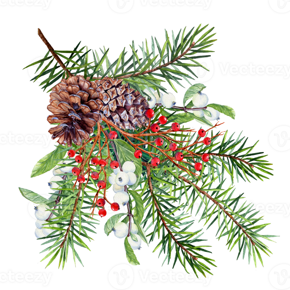 Christmas decorated fir branch with cones and red berries in watercolor technique. Spruse paws. Christmas decoration with Christmas tree branch, Clip art for Christmas decoration png