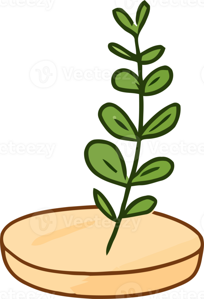 Cartoon Drawing of a Small Green Plant in Soil on a Circular Base png