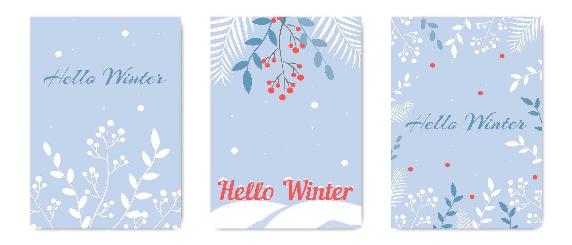 Three winter themed cards with light blue backgrounds, white botanical illustrations, red berries, and the phrase Hello Winter in elegant fonts. vector