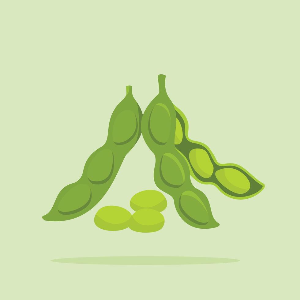 raw soybeans, collection of pods with skin and contents outside in flat style, suitable for posters and web icons vector