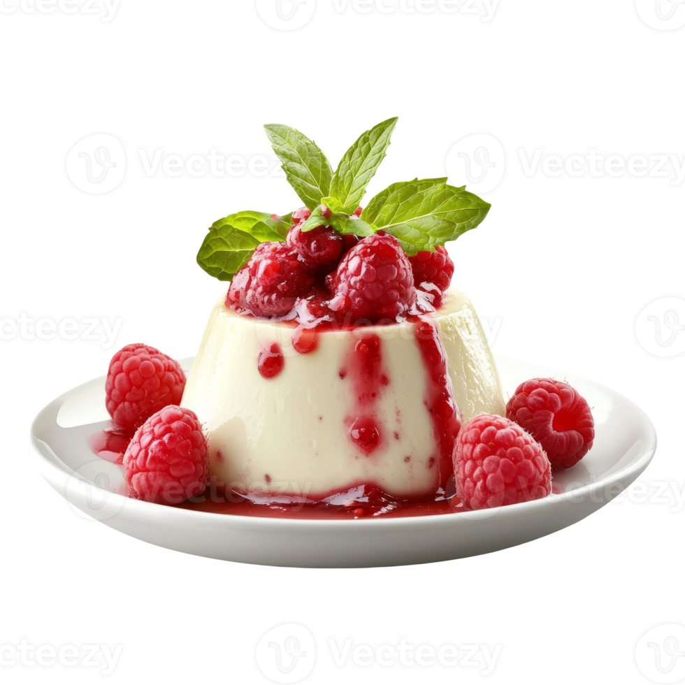 Creamy Raspberry Dessert with Mint Garnish on Transparent Background png