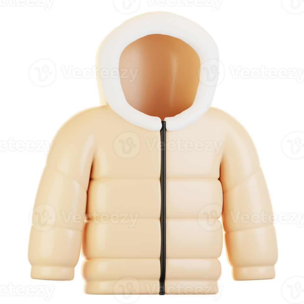 3d Renderização inverno ícone conceito. 3d render inverno Jaqueta png