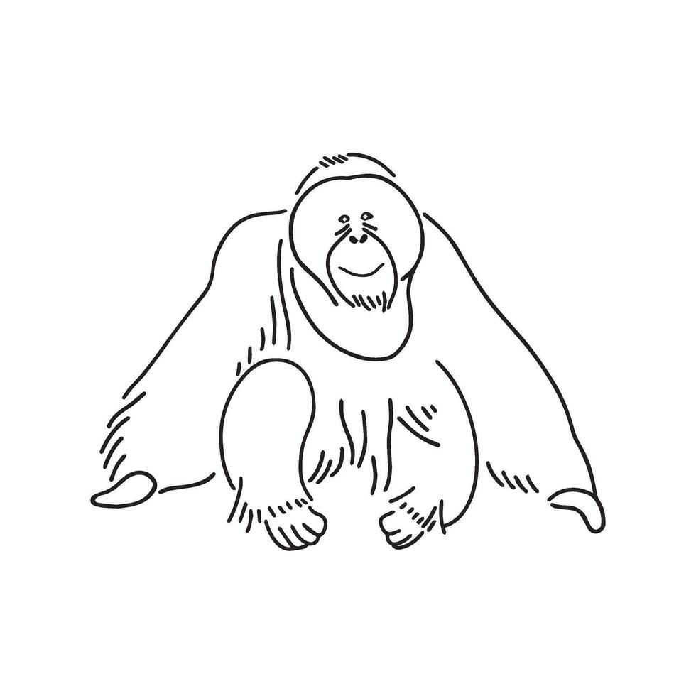A drawing of a gorilla sitting down vector