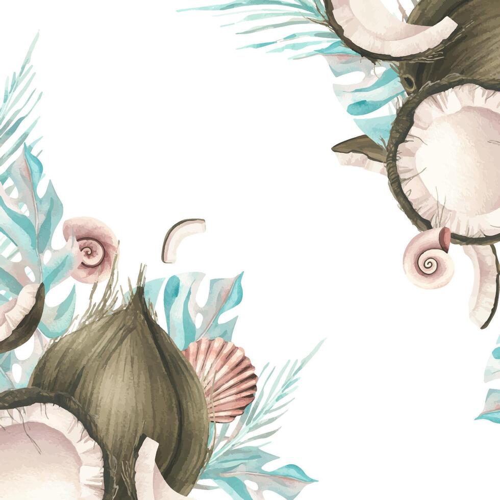 Whole coconuts and slices with tropical palm leaves and seashells. Watercolor illustration. Template on a white background from the collection of COCONUTS. For the dcoration and design vector