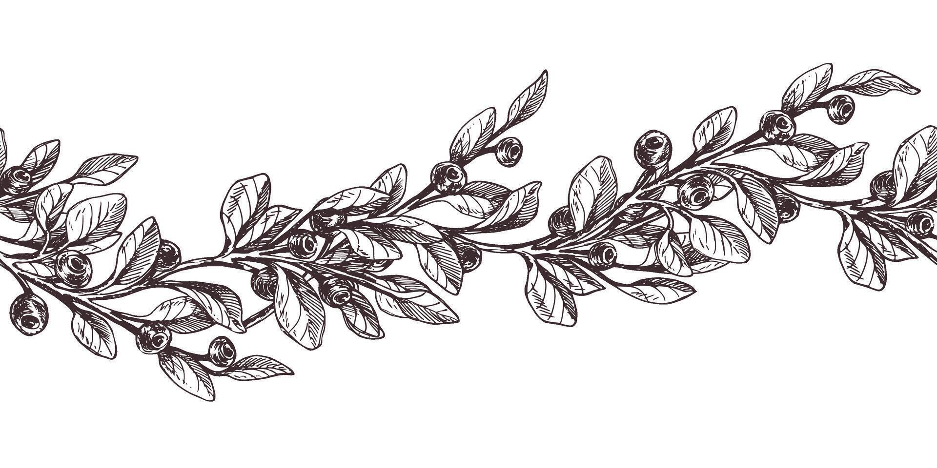 Blueberry sprigs with berries and leaves. Graphic illustration, hand drawn with brown ink, line art monochrome. Seamless border, pattern, simple on the theme of forest, harvest, nature. vector