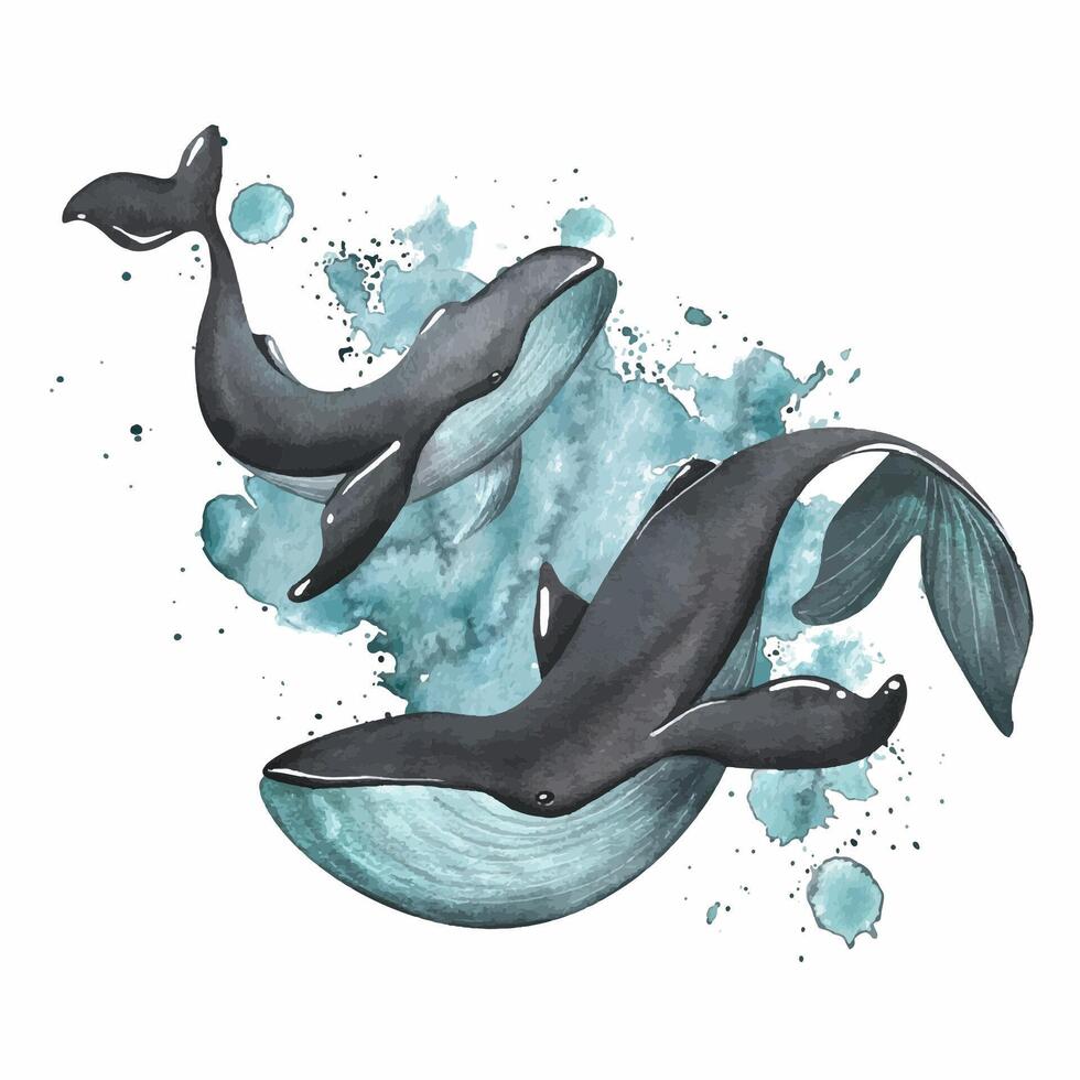 Black whales with turquoise color on the background of splashes of paint. Watercolor illustration. Composition on a white background from the collection of WHALES. For the design and decoration vector
