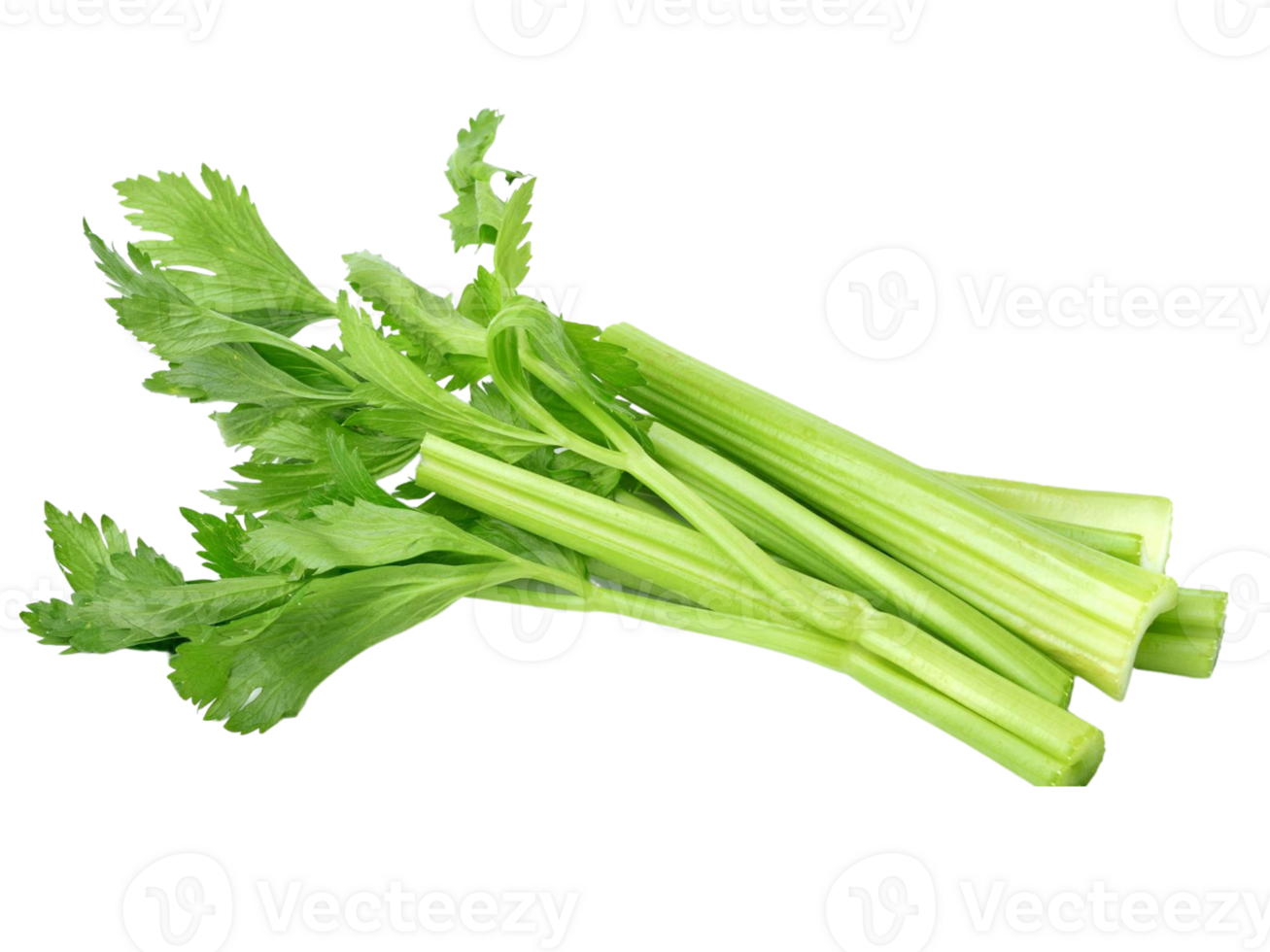 Health benefits of celery png
