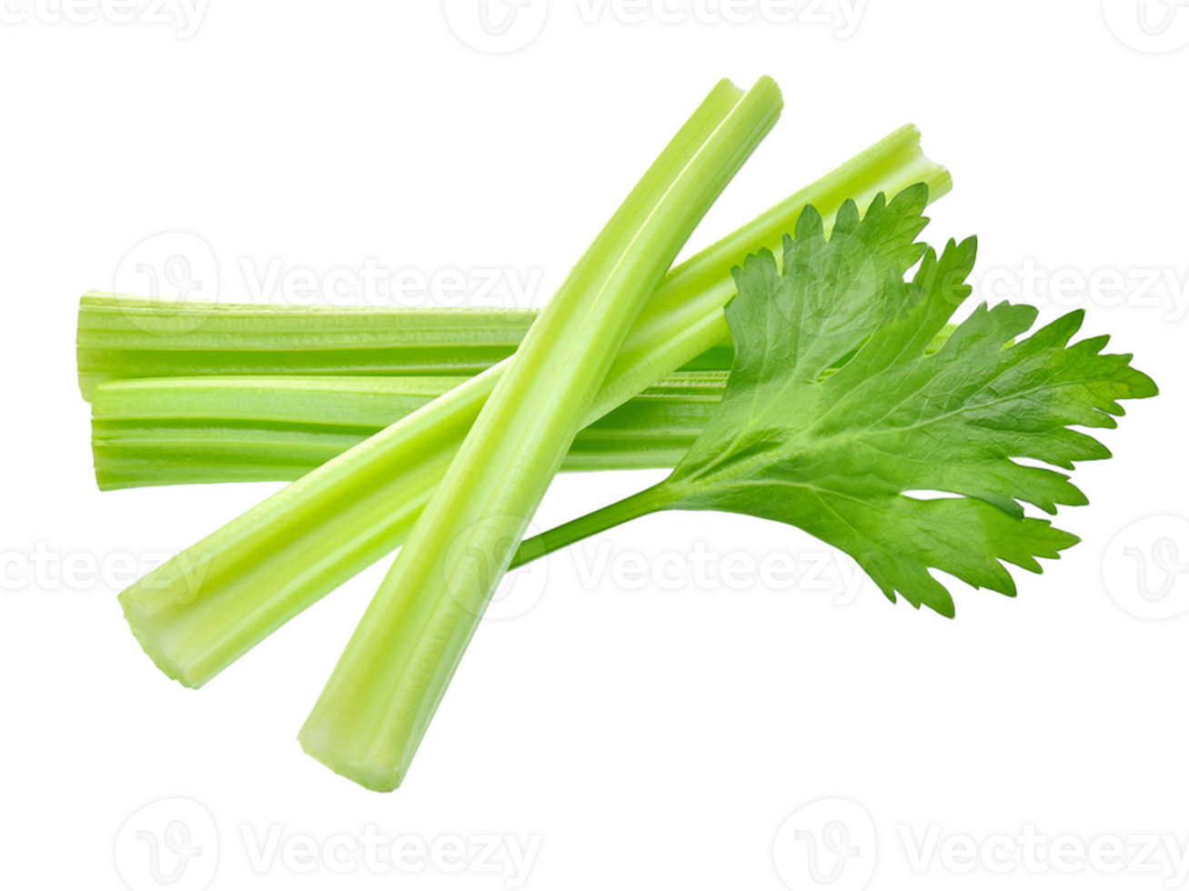 Celery as a snack png