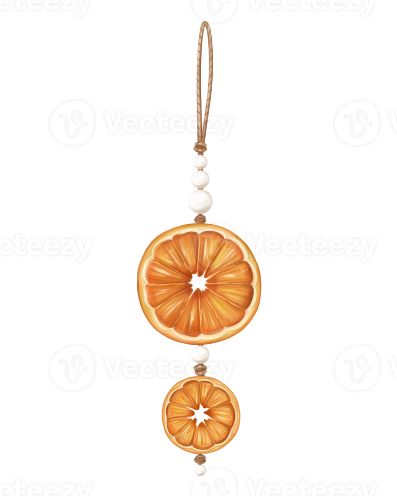 Dried orange slice eco-friendly Christmas tree toys. Hand drawn winter handmade decorations made from recyclable material. Sustainable xmas tree. Xmas greeting card design. Isolated illustration png