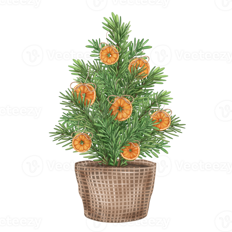 Eco-friendly Christmas tree with organic toys made of oranges. Sustainable Xmas, holidays, Hand drawn winter handmade decorations from recyclable material. Isolated illustration, greeting design png