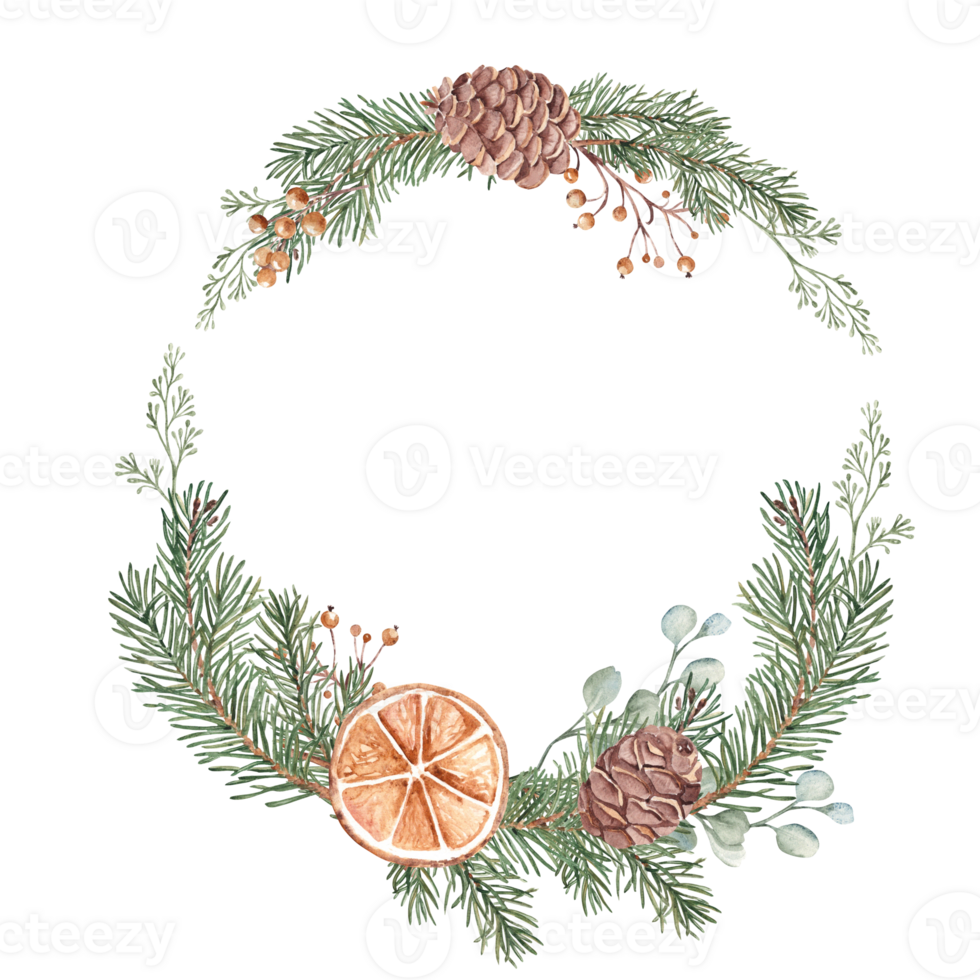 Christmas Wreath. Circle Frame with Winter plants and dry orange slices. Hand drawn Botanical Illustration of Fir Branches, Eucalyptus, Pine Cones and Berries. For Christmas or New Year Greeting Cards png