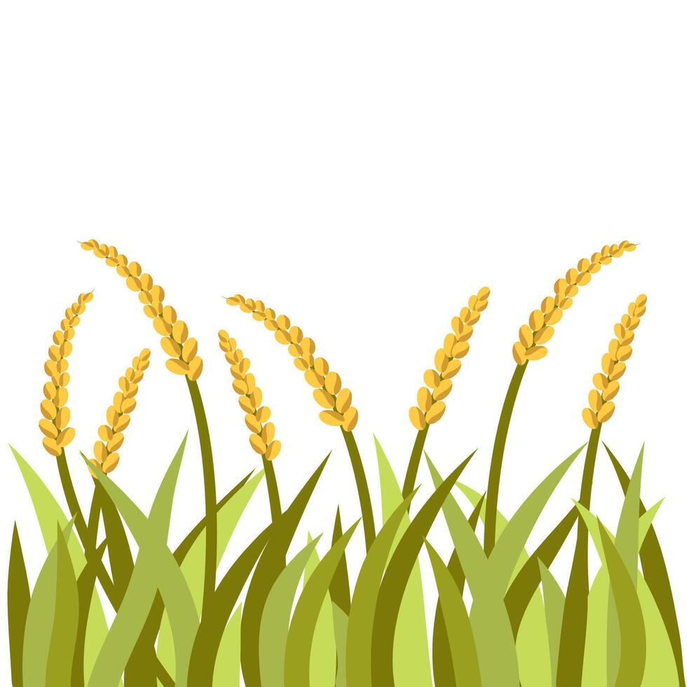 Wheat Plant with grass vector