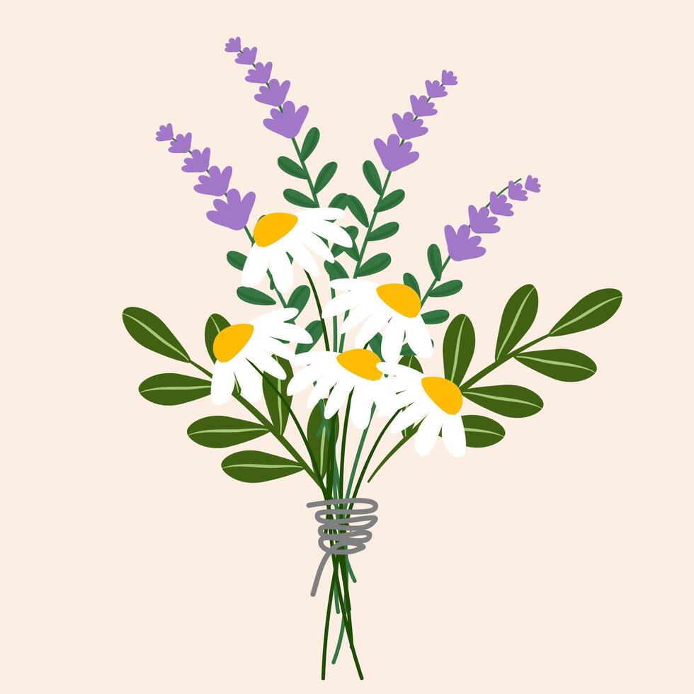 Bouquet of white flower vector