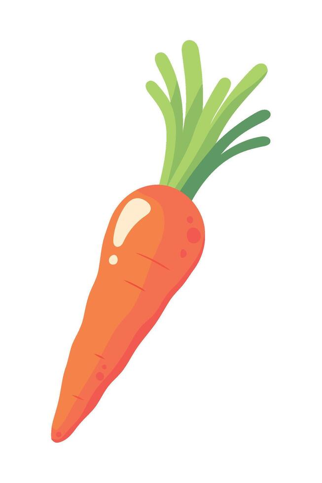 carrot fresh vegetable icon isolated vector