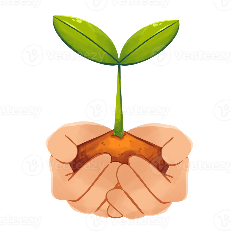 Hand and Seedling png