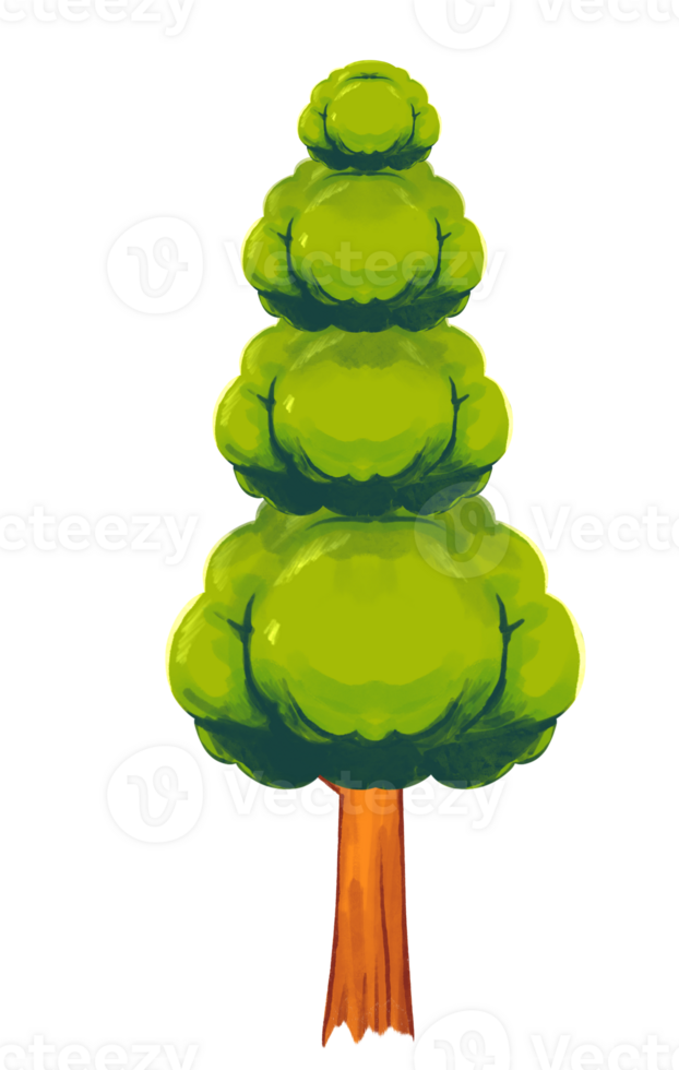 Tall Big Tree png