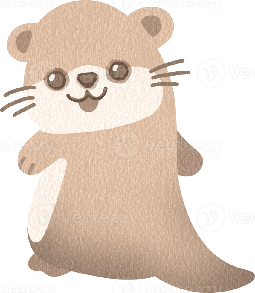 Otter looking you png