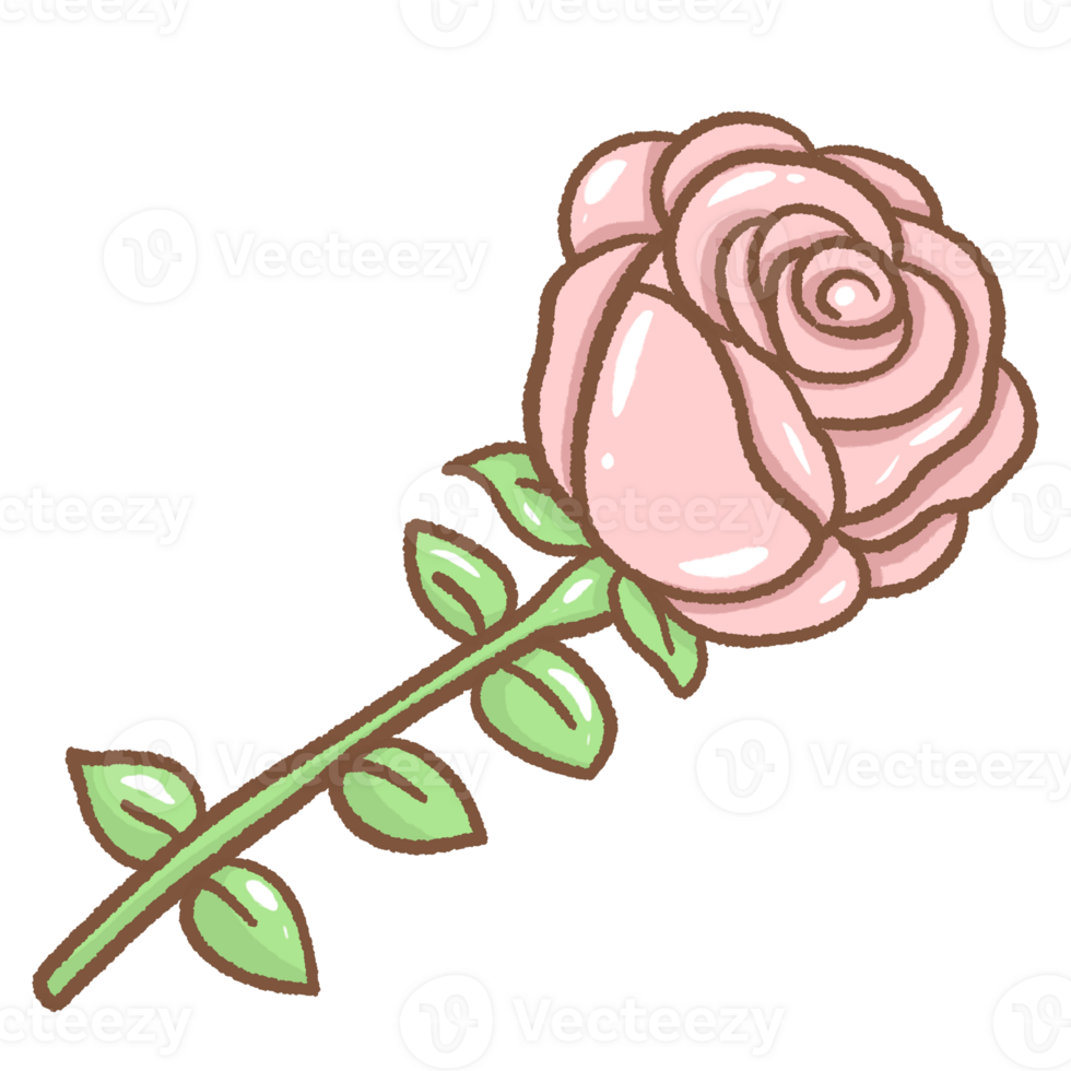 a single pink rose Hand drawn illustration Valentines day style pastel color isolated on transparent background, perfect for valentines day gifts, nursery decorations png