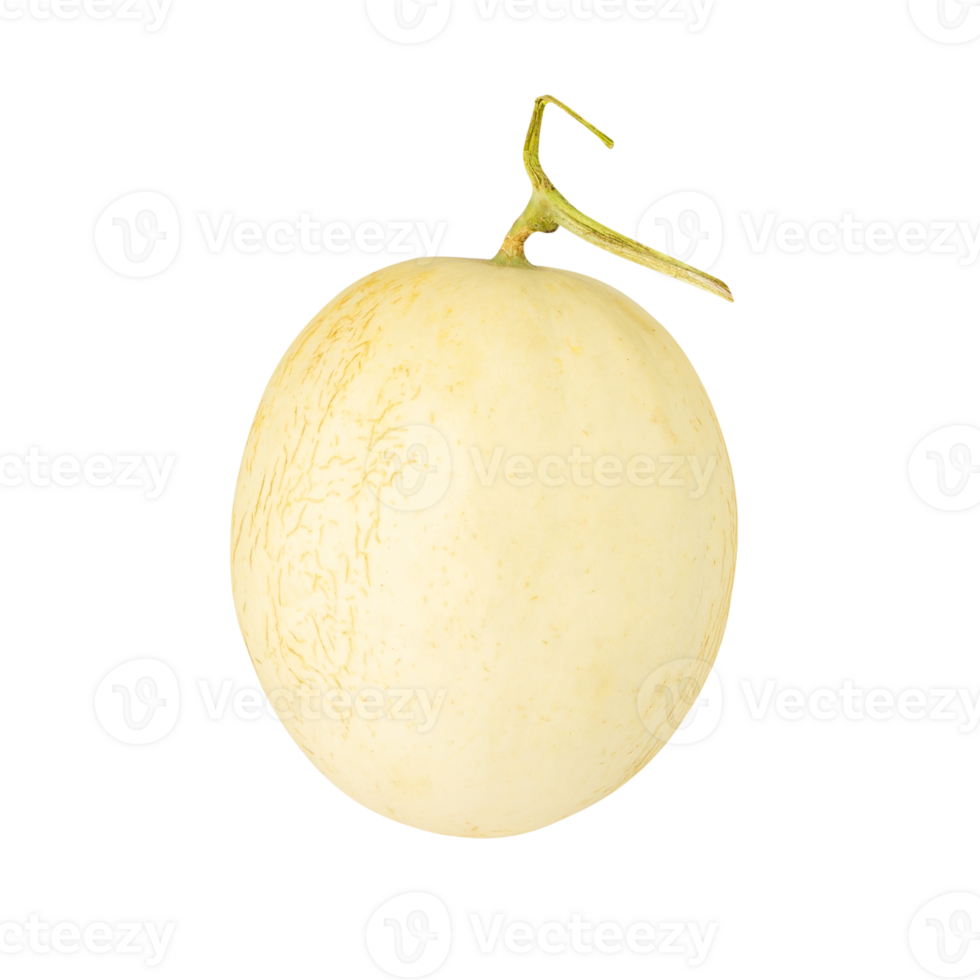 Cantaloupe cutout, full depth of field png