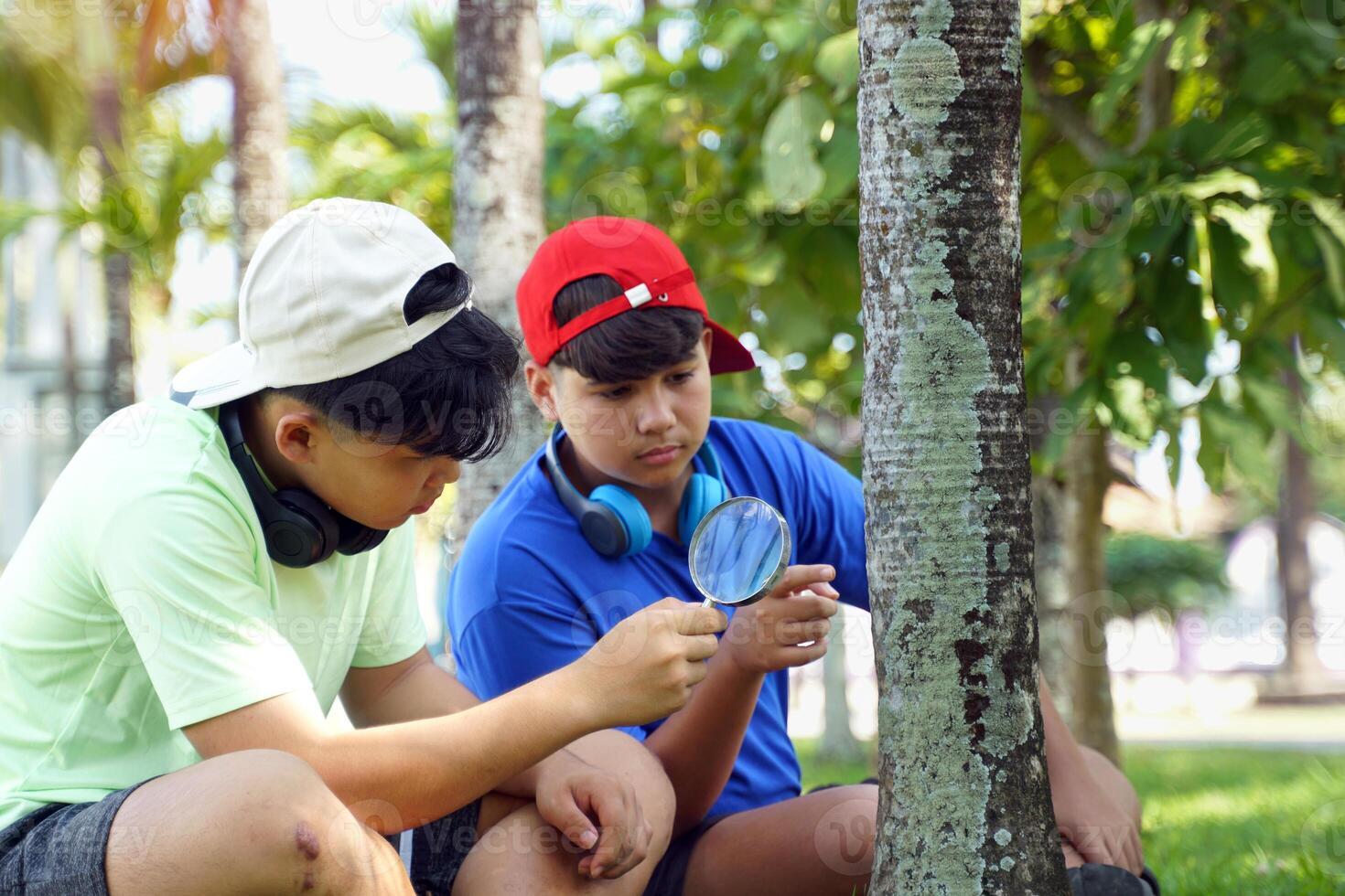 Two boys studied the lichens growing on a palm tree using a magnifying glass to see the details more clearly. photo