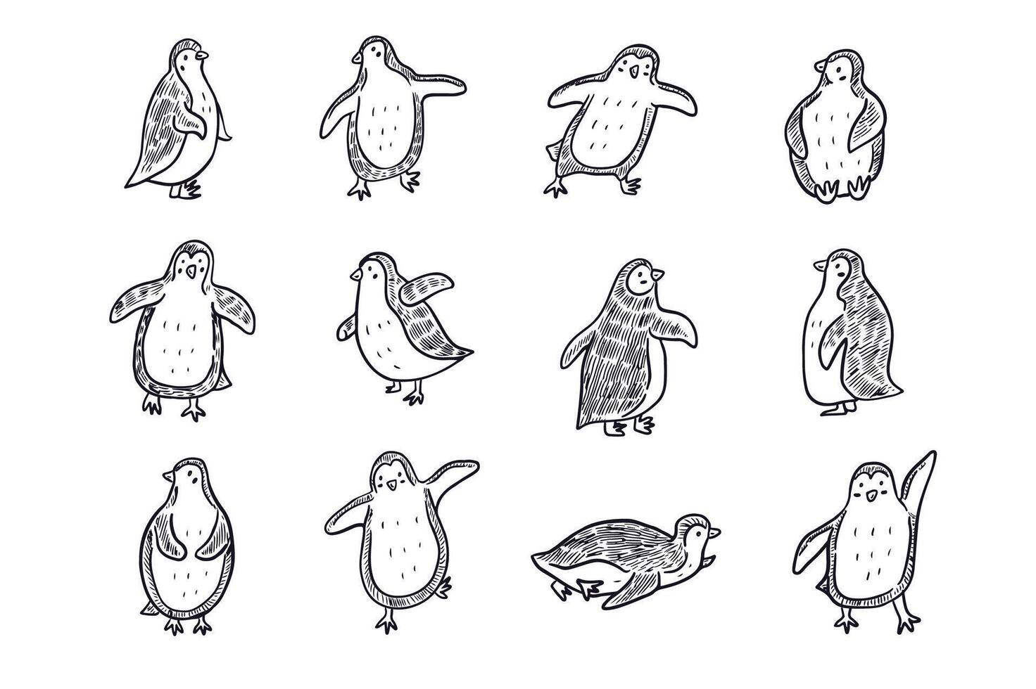 Cute penguins illustration in cartoon style. vector