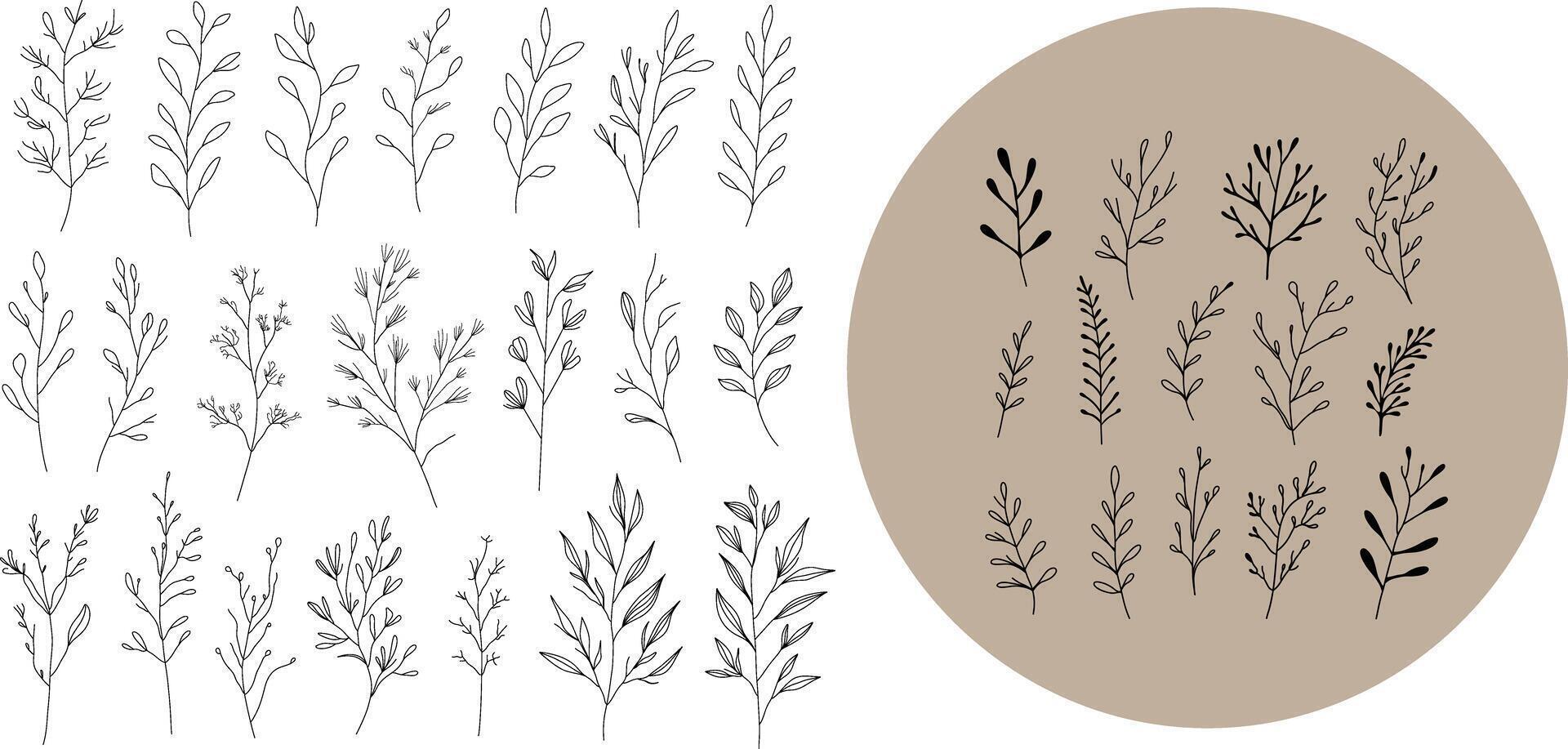 Set of minimalistic botanical sketches with leaves and branches vector