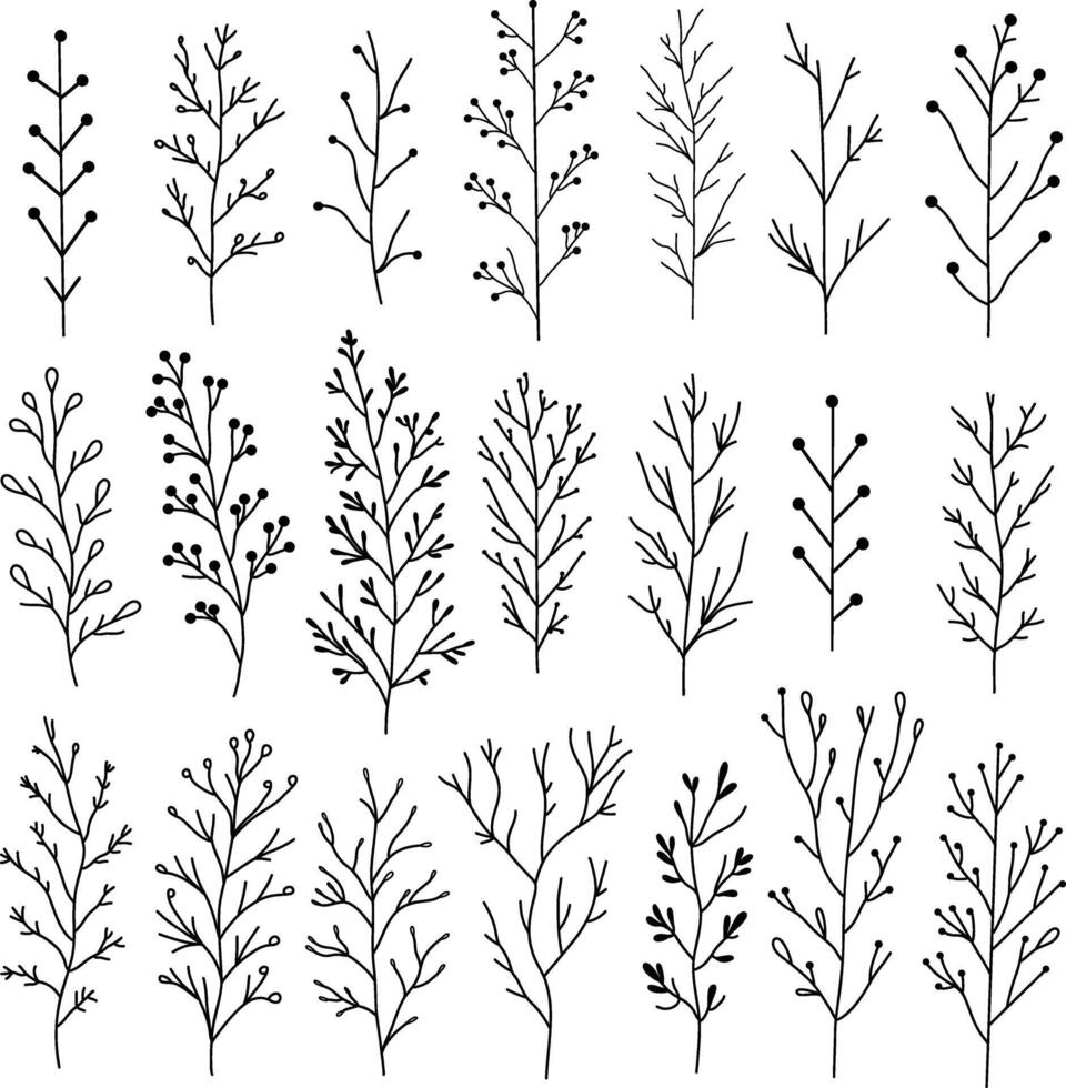Set of hand drawn doodle branches. black floral design elements on white background. Collection of branches and twigs illustration. vector
