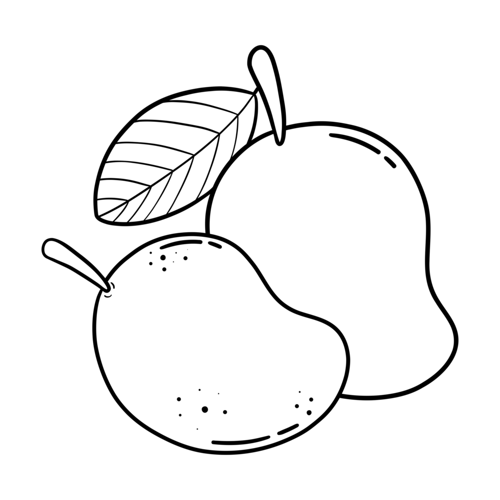 Clean and elegant line drawing of 2 mangoes with simple shapes, perfect for modern designs, nature themes, and creative projects. png