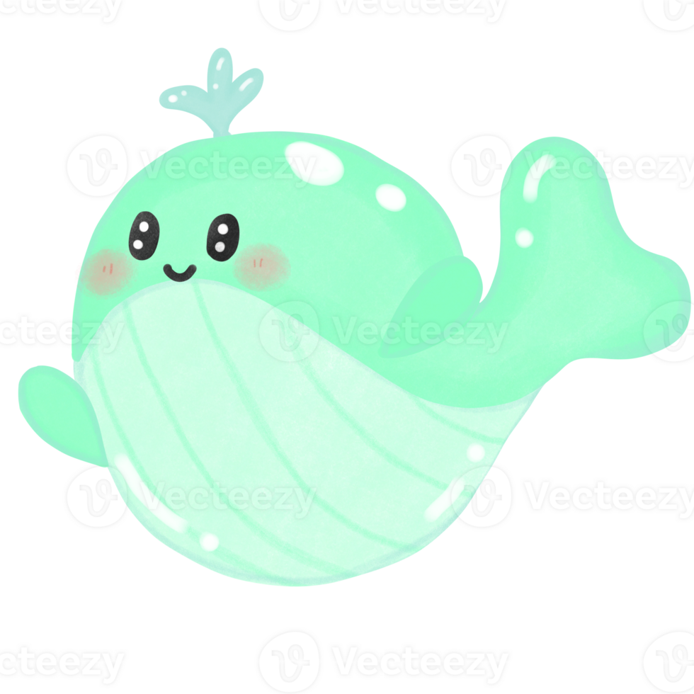 Coral and marine life Little Whale png