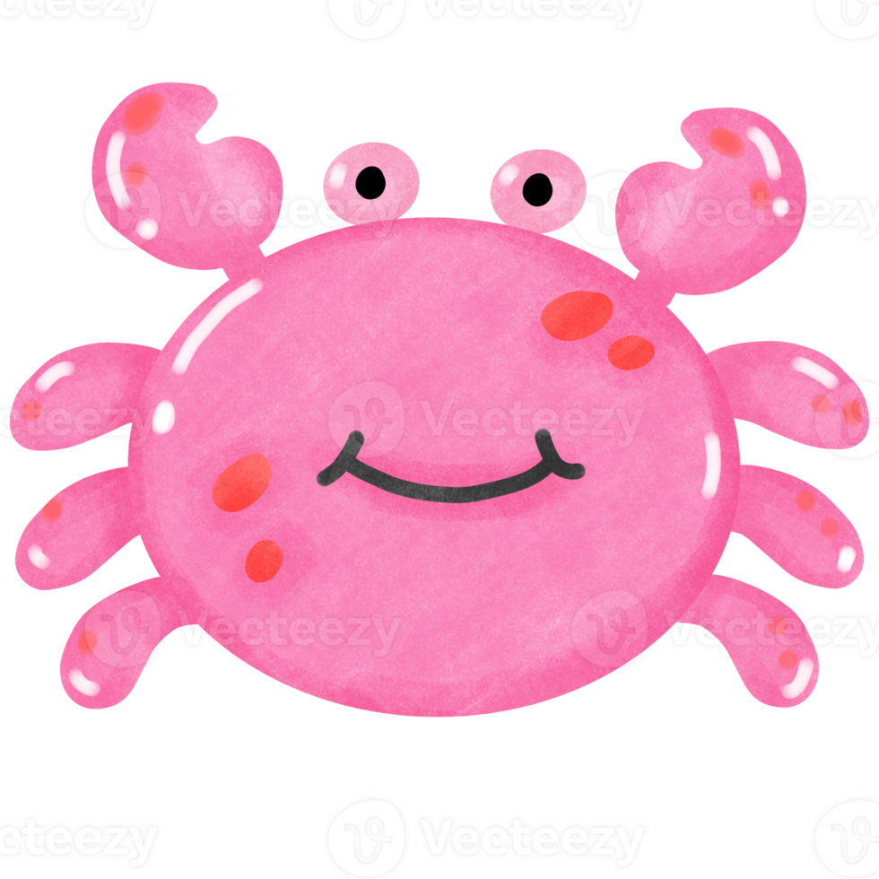 Coral and marine life Pink crab png