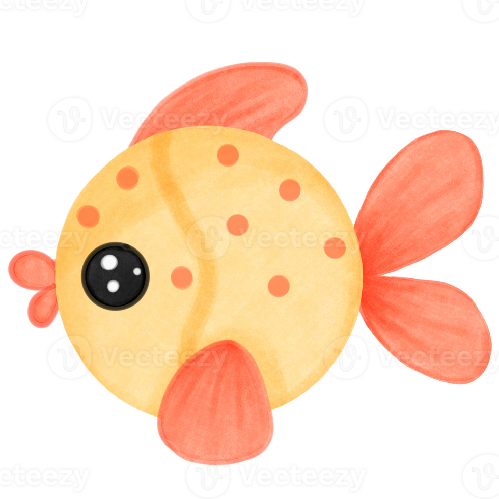 Coral and marine life Cute little fish png