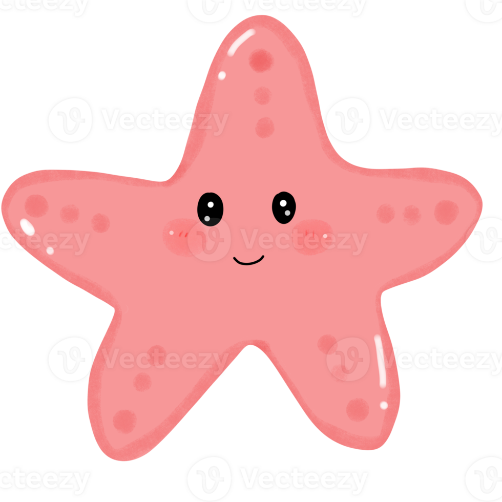 Coral and marine life starfish png